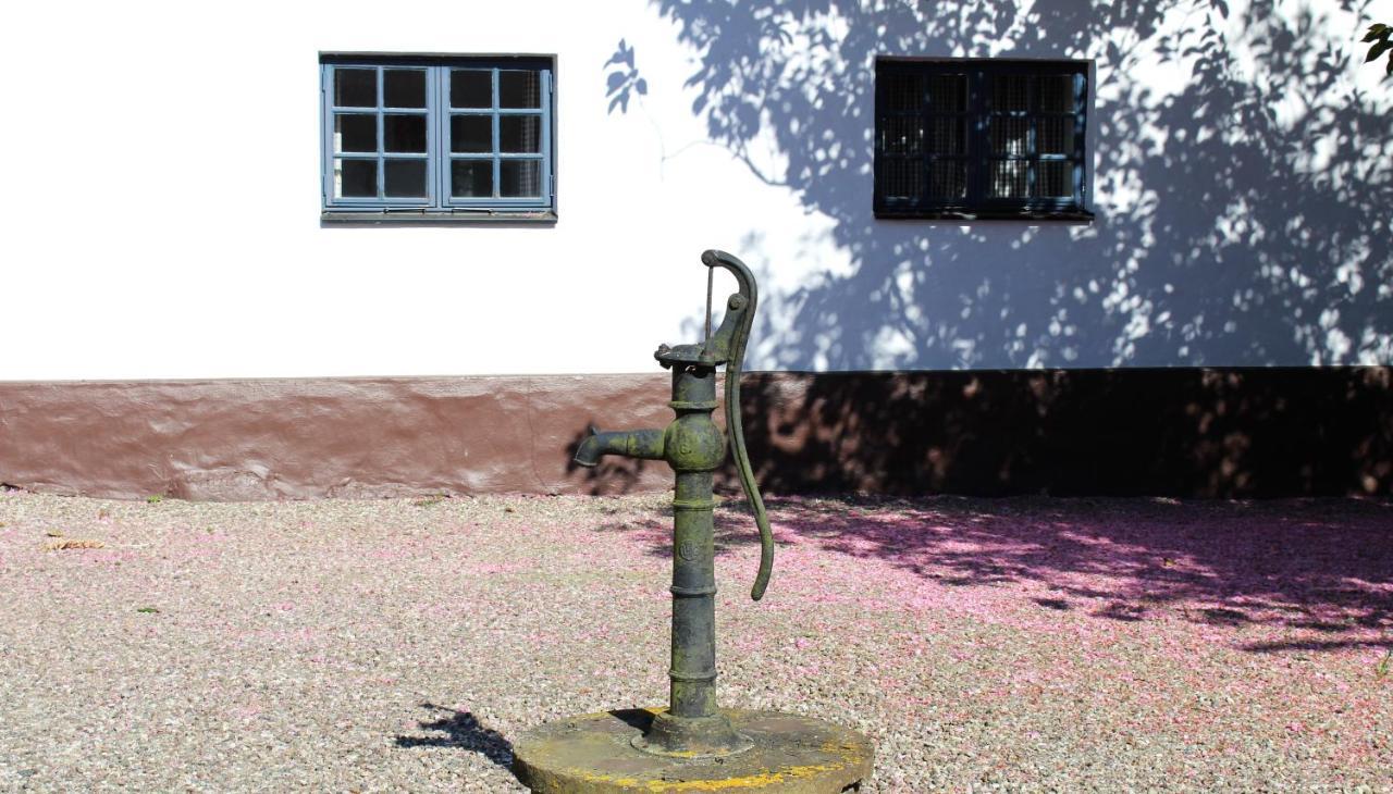 Oesterlens Karlsgard Löderup Extérieur photo